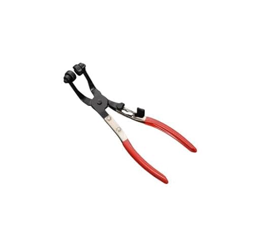 WG[^[z[X pH z[XohvC[ vC[NvO Ԑ (, 1)