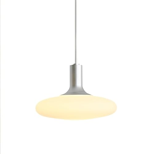 YJWYG ���_�� �N���G�C�e�B�u �z���C�g �K���X �y���_���g ���C�g �k�� �V���v�� ���E���h �݂艺�����C�g LED ���m�N�� �g�� �y���_���g�����v �L�� �G���g�����X �z�[�� �}�X�^�[ �x�b�h���[�� �K�i�p (28 x 18.5cm)