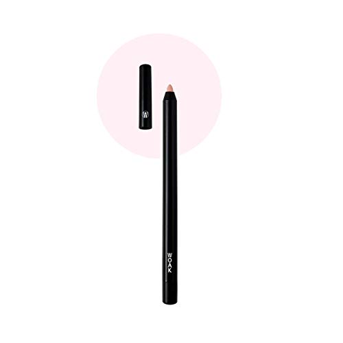 WOAK Stealth Fighter Pen