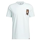 Regular fit adidas Mens Graphic Tee (Short Sleeve) M Boost Coffee, Almost Blue, HK6757, L