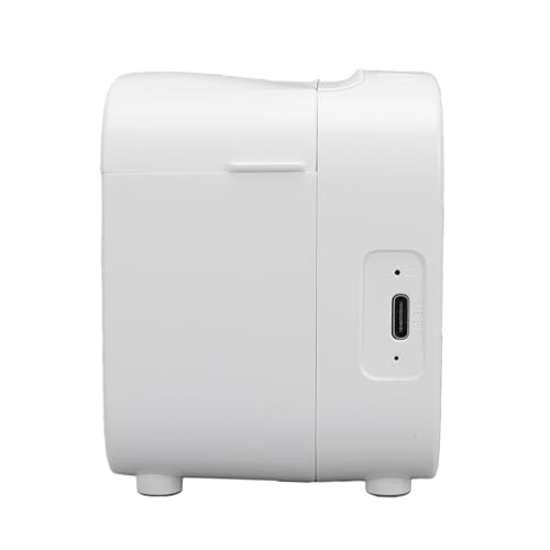 Image of banapoy Thermal Inkless Sticker, Smart AI Sticker Printer Voice Controlled Bluetooth Portable Maker Machine with 2.4 Inch Screen for DIY Arts Crafts Journaling (White)