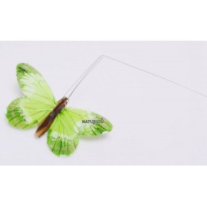 Papillon solaire Héliobil