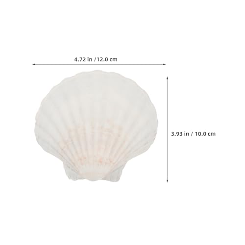 GLEAVI 20pcs Natural Scallop Shells Baking Dish Heat-Resistant Seafood Plates for Grilling Steaming and by GLEAVI - Image 2