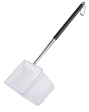 Pawfly Retino per Gamberi d'Acquario 8 cm - Minuscolo Retino con Manico Estensibile in Acciaio Inox - Morbida Rete Quadrata a Maglia Fine per Acquari e Piccoli Laghetti