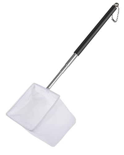 Pawfly Epuisette à crevettes d'aquarium 7.5 cm Minuscule épuisette d'aquarium avec poignée Extensible en Acier Inoxydable Mailles Souples carrées Fines...