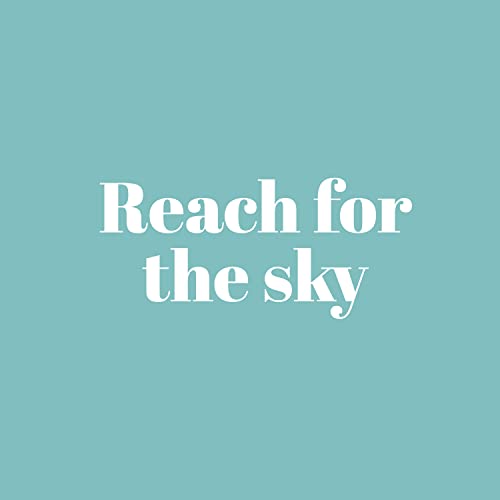 Vinilo artístico Reach for The Sky 11 x 25 pulgadas blanco