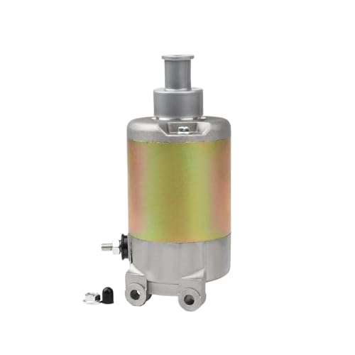 Démarreur électrique 410-54051 Compatible Scooter de Remplacement CN250 Helix Fusion Spazio 86-87 92-07 244CC CH250