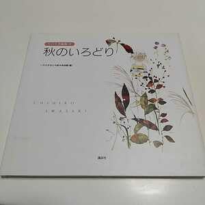 全巻＋別巻】 ちひろ美術館 第1集〜第6集 アルバム・いわさきちひろ