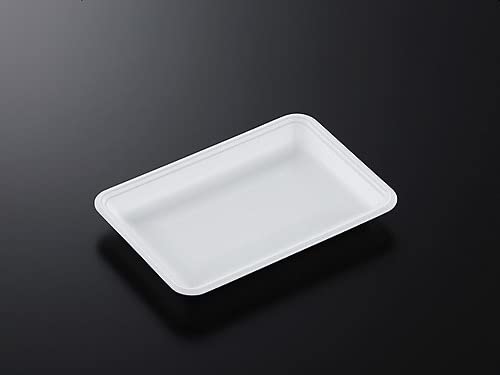 ӂ A g[ CN22-15E (L) 100 220×150×25 mm PSP  10004382