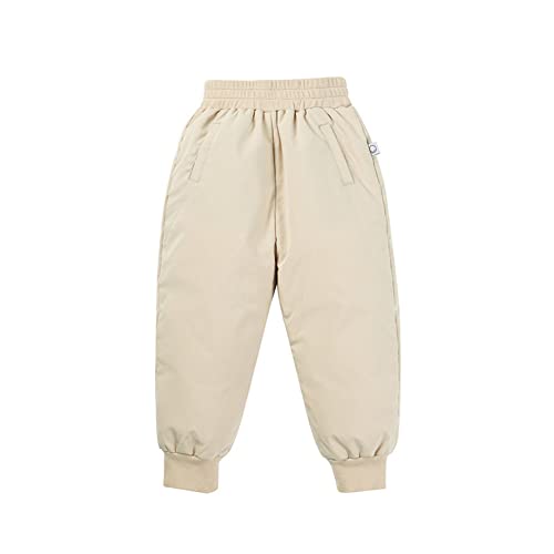 [`[A@s] LbY _Epc q _EY{ {gX qǂ  Y{ j̎q ̎q  AE^[ h h ʉ ʊw ~ x[W 100