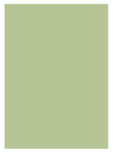 Irisette Jupiter Spannbetttuch 100x200 Cm – 100% Baumwolle Mako-Jersey, Für Matratzen Bis 20 Cm, Orange