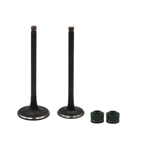 Tige de soupape admission échappement moto DR200 pour balade RV200