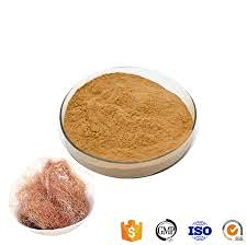 Tridev Ayurveda Corn Hair powder tea for Kidney Stones/Liver Cleansing - Corn Silk Tea - Maize Hair Tea - Natural- 50gm