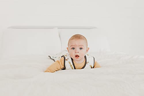 Image of Copper Pearl Baby Sleep Sack, Ace - Wearable Blanket for 0-6 Months, Sleeveless Sleep Sack for Baby Boy or Girl