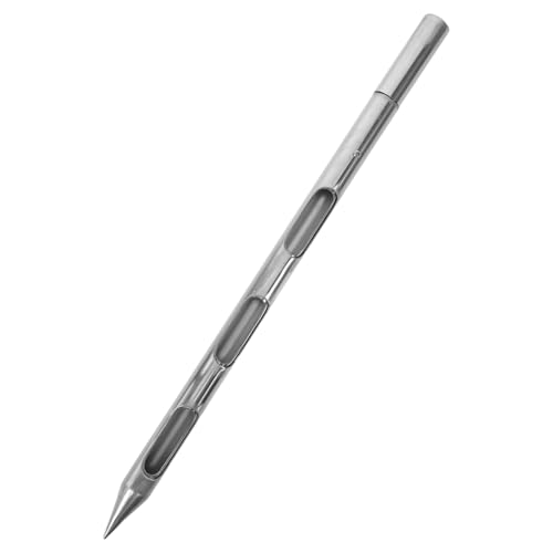 Angoily Échantillonneur de Grains Acier Inoxydable avec Précise pour Échantillonnage de Blé Maïs Riz et Poudre Outil Agricole pour Ferme et Laboratoire