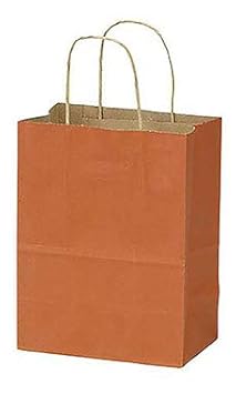 SSWBasics Medium Burnt Orange Paper Shopping Bags - 8 L x 4 D x 10 H - Case of 100