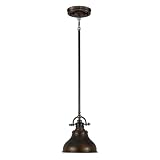 Quoizel QZ/EMERY/P/S PN - Lampadario da soffitto, in bronzo, 20,3 x 20,3 x 22,9 cm