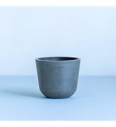Amazon.co.jp: ECOPOTS Oslo エコポッツ AND PLANTS アンドプランツ (3
