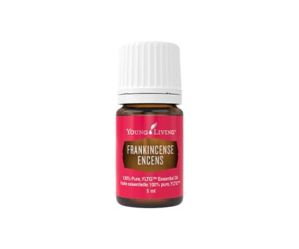 YL Frankincense Essential Oil 5ml : Amazon.ca: Health