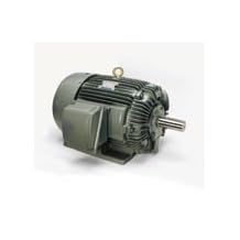 Teco EP00325, 3 HP, 3600 RPM, TEFC, 182T Frame, 575 Volt, 3 PH, Max-E1, Footed AC Electric Induction Motor