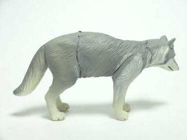 Amazon | わがままな天然列島 大地の動物シリーズ ニホンオオカミ(白狼