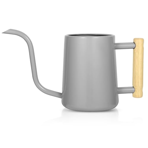 Image of Watering Can Indoor Plants, 35 oz /1000 ml Metal Stainless Steel Watering Can Pot with Long Spout for Indoor House Plants Bonsai Outdoor Garden Flower Decorative (Gray)