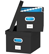 Amazon.com: DYWMM Hanging File Box with Lid, Set of 2 Filing Organizer ...