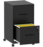 Reegangfa 2 Drawer Mobile File Cabinet with Lock, Rolling Metal Filing Cabinets, Black Under Desk...