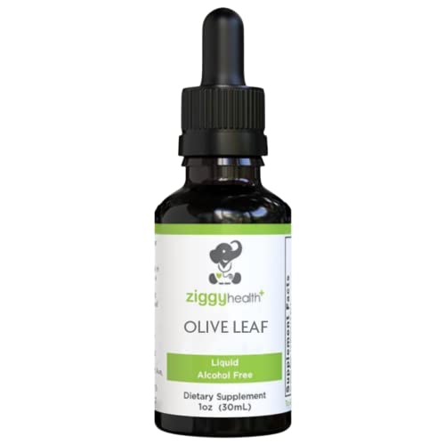 Olive Leaf Extract Liquid Tincture - Organic - Alcohol Free Dietary Supplement - Extra Strength - Cardiovascular And Overall Health Support - Vegan - 1 Oz By Ziggy Health #TOP1