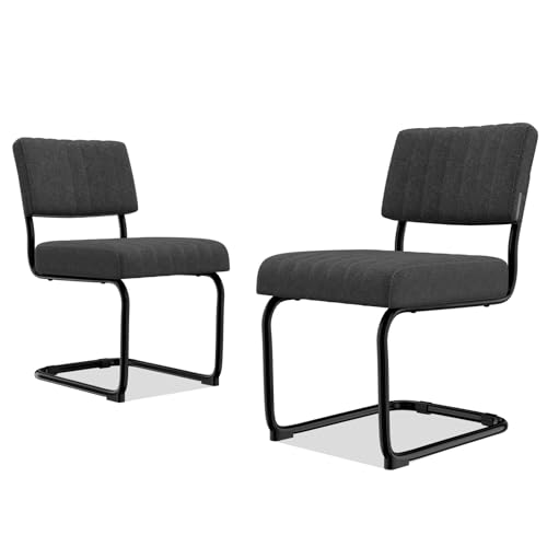 HOTOSYCH Küchenstühle 2er Set, Stuhl Esszimmer Schwingstuhl mit Metallrahmen, Moderne Stühle Esszimmer Körniges Vlies für Esszimmer...