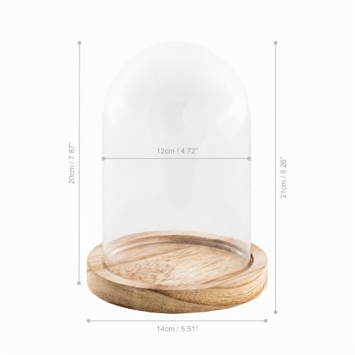 Miniatura 2 de Chaks - Campana De Cristal Con Base De Madera, Cúpula Transparente Con Pedestal De Cristal Y Madera, Decoración Para Salón, Estantería Y Mesa
