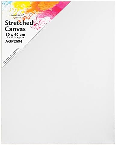 Artist Canvas Art Board Plain Painting Stretched Framed White Large Small Blank (30cm x 60cm)