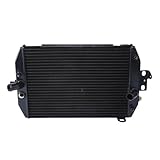 * Para Y&amaha Para XVZ1300 XVZ 1300 ROYAL STAR 1999-2013 Enfriador de aceite del radiador de motocicleta.