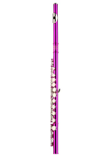 Image of Glory Closed Hole C Flute With Case, Tuning Rod and Cloth and Gloves pink