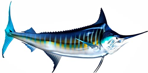 White Marlin Beautiful Fish Decal | Fishing Decal for Boat, Car, Vehicle, Truck Etc. | Waterproof Vinyl Sticker | Many Sizes & Styles Available | 12