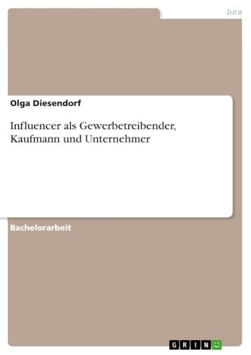 Influencer als Gewerbetreibender, Kaufmann und Unternehmer (German Edition)