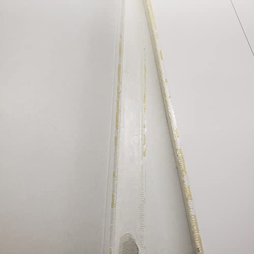 Succulents: The Illustrated Dictionary