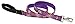 Lupine 1-Inch Sunny Days Dog Lead, 6-Feet
