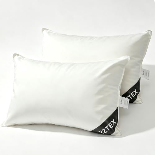 Image of YZTEX 2 Pack Goose Feather and Down Pillows
