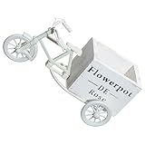 Portavaso per fiori a forma di bicicletta: decorazione perfetta per la scrivania di ufficio, casa, negozio di fotografia, hotel, sala modelli, ecc., supporto per fiori