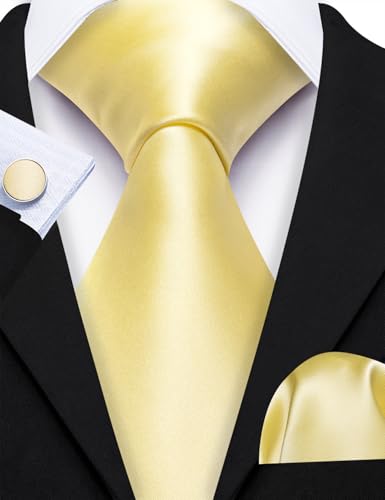 Image of Barry.Wang Plain Men Silk Ties Extra Long Satin Necktie for Wedding Business Handkerchief Cufflinks Set Solid Colors