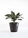 Produktbild Ashortwalk ECOPOTS Pflanztopf Amsterdam aus recyceltem Kunststoff (D30 x H26 cm) (schwarz)