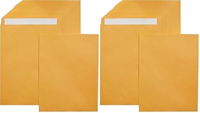 Amazon Basics Catalog Mailing Envelopes,Peel and Seal,10x13 Inch,Brown Kraft,250 Count (Pack of 2)