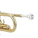 Trumpets For Beginner Brass Trumpet Bb With 7C Mouthpiece Standard Professional Beginner Gold