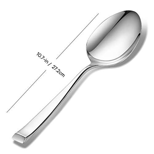 Royalrose Alexander Fine 10.7" Kunz Spoon, 18/10 Stainless Steel, Well Made, Dishwasher Safe, Heavy Duty Large Serving Spoon #TOP1