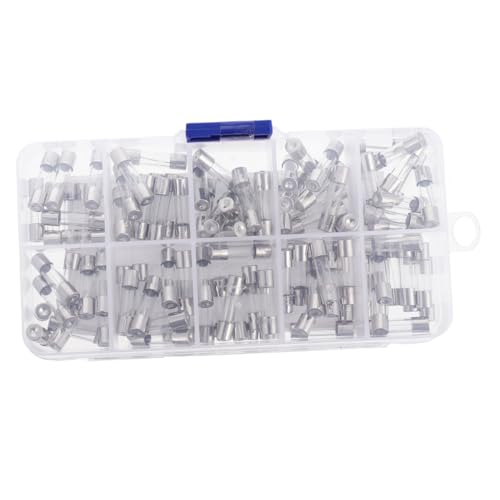 TEHAUX Kit de Fusibles de Vidrio 200 piezas Accion Rápida 5x20mm 0.2A-20A con Estuche miniatura 6