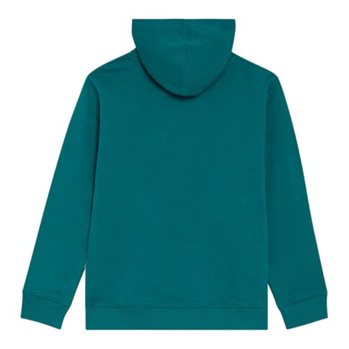 Image of Champion boys Graphic Hoodie Pullover Sweatshirt for Kids With Stylish Embellishments
