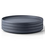 AmorArc Stoneware Dinner Plates Set of 4, 10.5 Inch Reactive Matte Glaze Ceramic Plates Set, Modern Dinnerware Dish set for Kitchen, Microwave, Dishwasher Safe, Scratch Resistant-Matte Charcoal Gray
