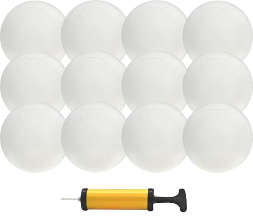 Viminston Mini Volleyballs 4 Inch Team Signature Memory Ball for Team Gift Coaching Gift Awards Throw to Crowd