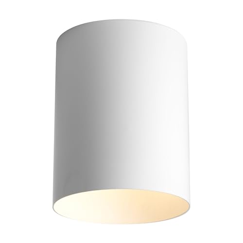 Image of Progress Lighting 5-Inch Cylinder Outdoor Ceiling Light, 1-Light Modern Flush Mount Ceiling Fixture, Interior and Exterior Lighting for Home or Porch, Aluminum Construction, White, P5774-30